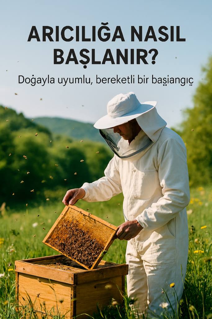 Beyaz arıcı kıyafeti giymiş bir kişi, arıcılığa nasıl başlanır sorusunu kafasından silmek için çiçeklerle dolu kırda kovanın yanında bal peteği çıkarıyor; etrafta arılar uçuşuyor.