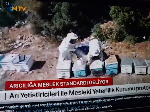 Arıcılığa meslek standardı geliyor yazılı haber kupürü önünde arılıkta kovan kontrolü yapan maskeli arıcılar
