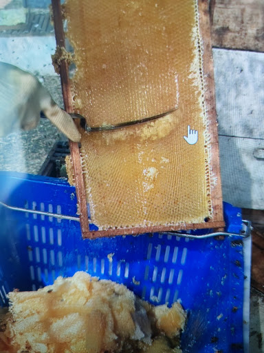 Tek kovandan 120 kg bal hedefi kapsamında yapılan şekersiz doğal bal hasadı ve çerçeve sırlama işlemi