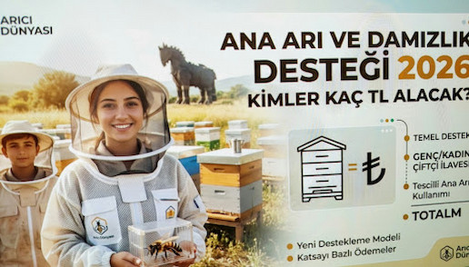 Türkiye'deki arıcılar için hazırlanan 'Ana Arı ve Damızlık Desteği 2026' infografiği. Görselde, tescilli ana arı kullanımının desteklenmesi, genç ve kadın çiftçilere ek katsayı ödemeleri ve toplam kovan başı destek miktarının hesaplanması hakkında bilgiler yer alıyor