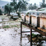 Arıcılıkta yağmur alarmı verilen bir günde, Çanakkale'deki bir arılıkta su baskını ve nemden korumak için metal sehpa üzerine yükseltilmiş ahşap kovanlar. Koloni kayıplarını önlemek için alınan fiziksel tedbirler