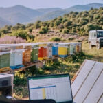 Arılıkta enerji devrimi: Taşınabilir güneş paneli, güç istasyonu ve laptop ile dijital arıcılık yönetimi.